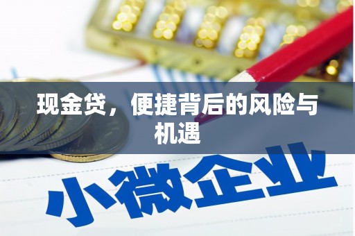 康定现金贷，便捷背后的风险与机遇