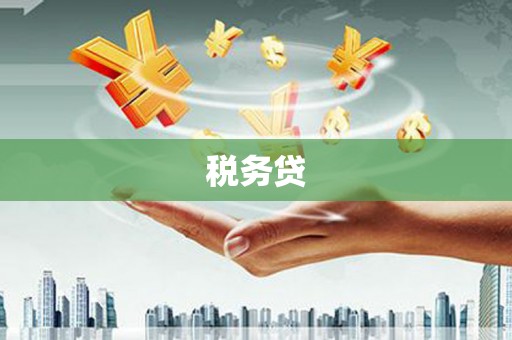 康定税务贷