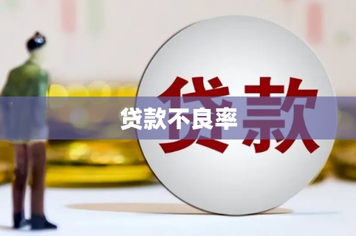 康定贷款不良率
