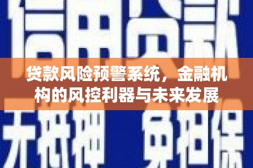 康定贷款风险预警系统，金融机构的风控利器与未来发展