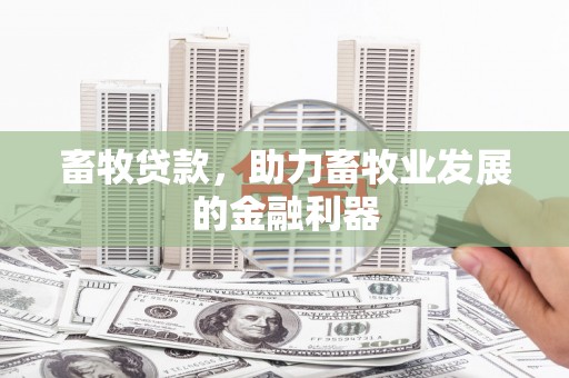 康定畜牧贷款，助力畜牧业发展的金融利器