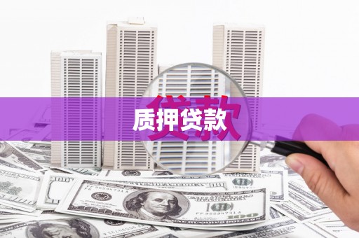 康定质押贷款