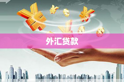 康定外汇贷款