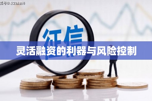 康定灵活融资的利器与风险控制