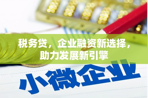 康定税务贷，企业融资新选择，助力发展新引擎