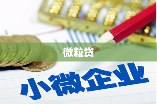 康定微粒贷