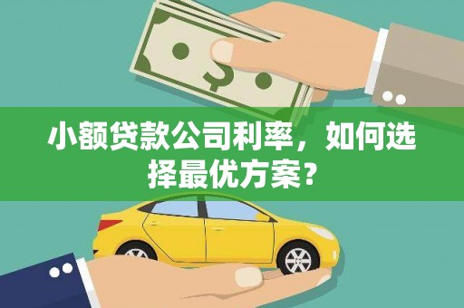 康定小额贷款公司利率，如何选择最优方案？