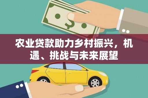 康定农业贷款助力乡村振兴，机遇、挑战与未来展望