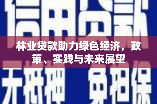 康定林业贷款助力绿色经济，政策、实践与未来展望