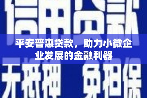 康定平安普惠贷款，助力小微企业发展的金融利器