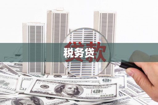康定税务贷