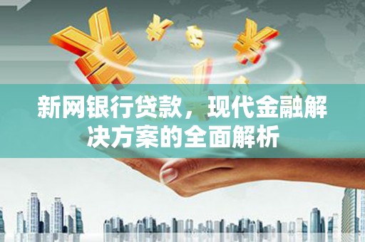 康定新网银行贷款，现代金融解决方案的全面解析