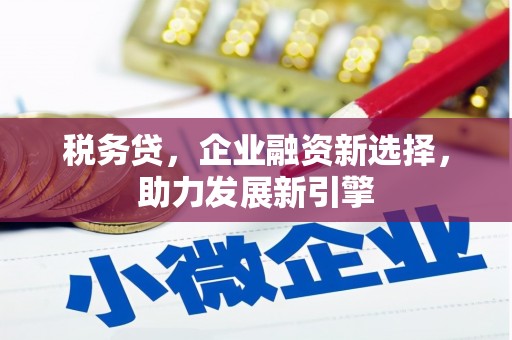 康定税务贷，企业融资新选择，助力发展新引擎
