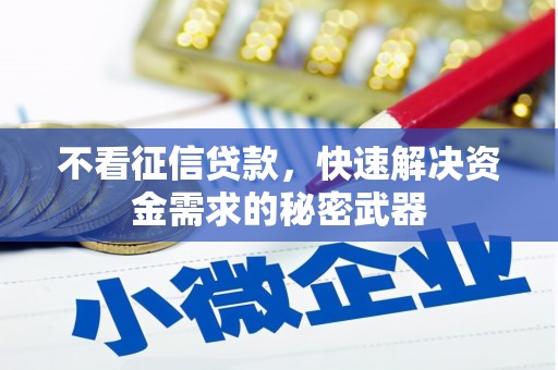 康定不看征信贷款，快速解决资金需求的秘密武器