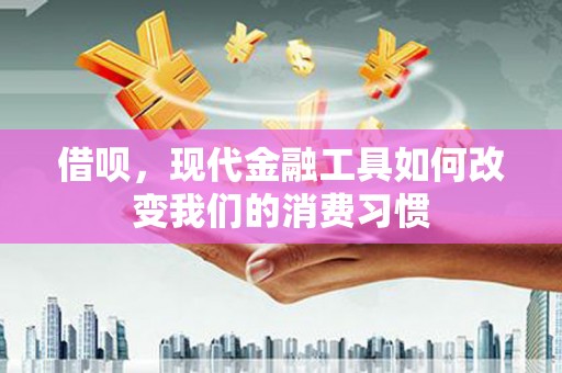 康定借呗，现代金融工具如何改变我们的消费习惯