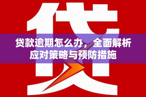 康定贷款逾期怎么办，全面解析应对策略与预防措施
