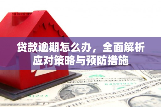 康定贷款逾期怎么办，全面解析应对策略与预防措施