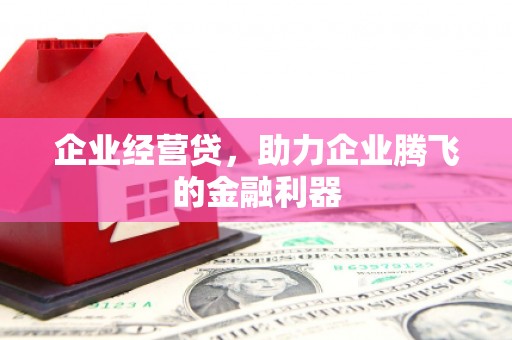 康定企业经营贷，助力企业腾飞的金融利器
