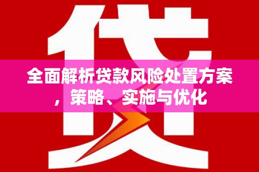 康定全面解析贷款风险处置方案，策略、实施与优化
