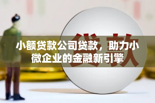 康定小额贷款公司贷款，助力小微企业的金融新引擎