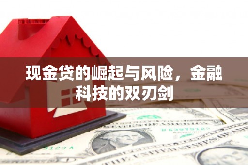 康定现金贷的崛起与风险，金融科技的双刃剑