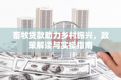 康定畜牧贷款助力乡村振兴，政策解读与实操指南