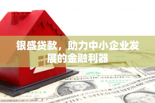 康定银盛贷款，助力中小企业发展的金融利器