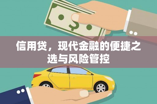康定信用贷，现代金融的便捷之选与风险管控
