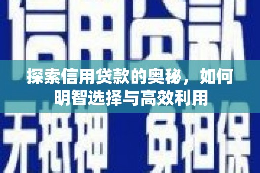 康定探索信用贷款的奥秘，如何明智选择与高效利用