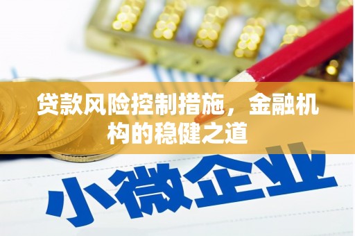 康定贷款风险控制措施，金融机构的稳健之道