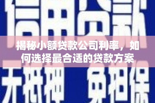 康定揭秘小额贷款公司利率，如何选择最合适的贷款方案
