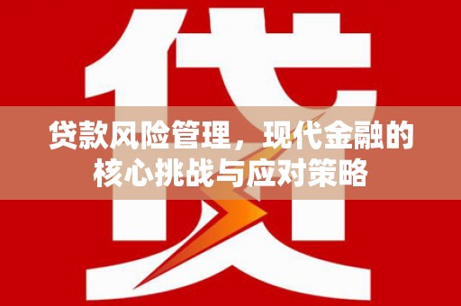 康定贷款风险管理，现代金融的核心挑战与应对策略