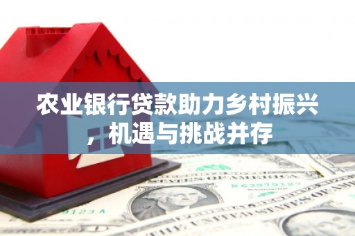康定农业银行贷款助力乡村振兴，机遇与挑战并存
