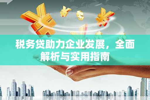 康定税务贷助力企业发展，全面解析与实用指南