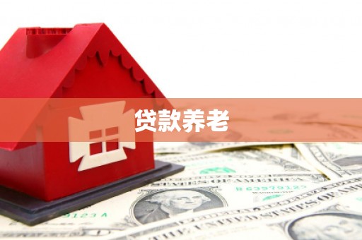 康定贷款养老