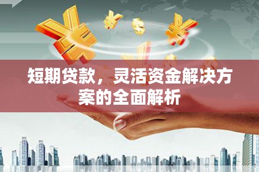 康定短期贷款，灵活资金解决方案的全面解析