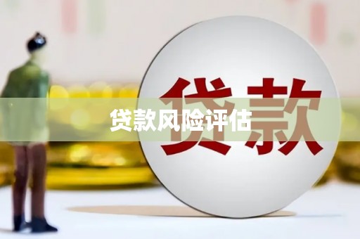 康定贷款风险评估