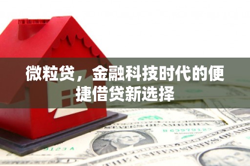 康定微粒贷，金融科技时代的便捷借贷新选择