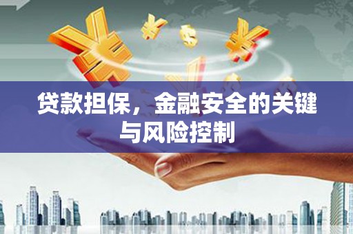 康定贷款担保，金融安全的关键与风险控制