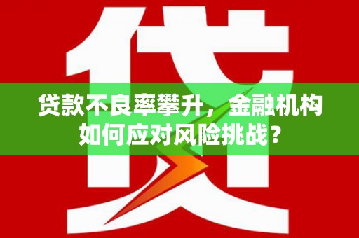 康定贷款不良率攀升，金融机构如何应对风险挑战？