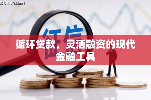 康定循环贷款，灵活融资的现代金融工具