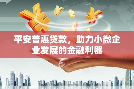 康定平安普惠贷款，助力小微企业发展的金融利器