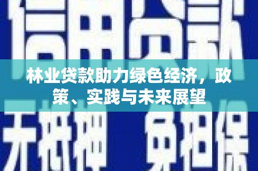 康定林业贷款助力绿色经济，政策、实践与未来展望