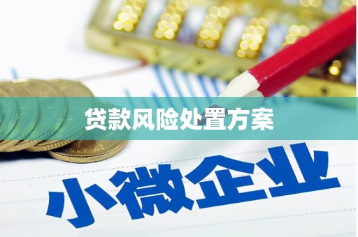 康定贷款风险处置方案