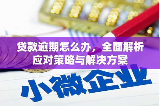 康定贷款逾期怎么办，全面解析应对策略与解决方案