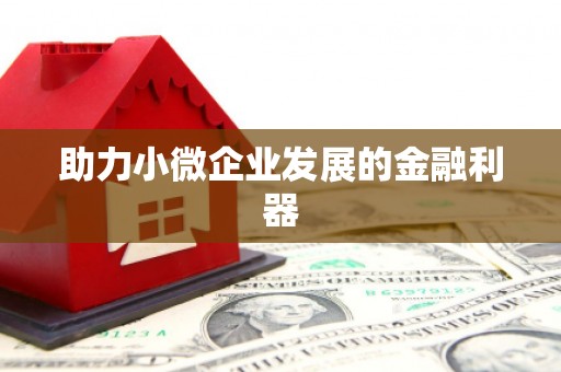 康定助力小微企业发展的金融利器