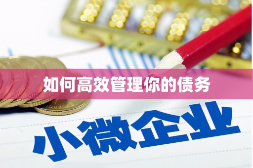 康定如何高效管理你的债务