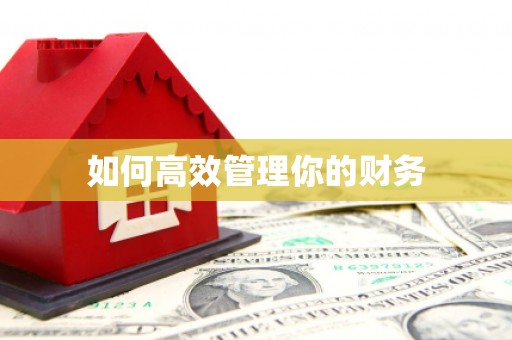 康定如何高效管理你的财务